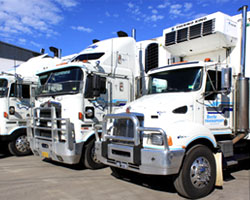 Refrigerated Transport