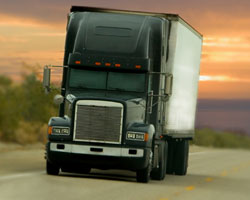 Refrigerated Transport Companies